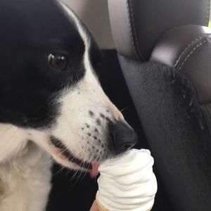 Meet your Posher, Reese